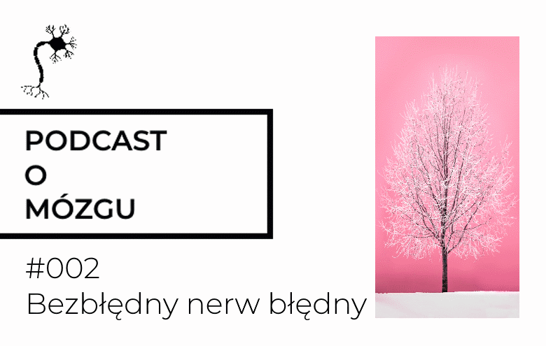 #002 Bezbłędny nerw błędny