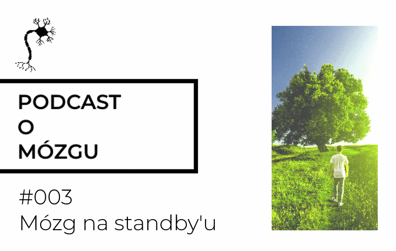 #003 Mózg na standby’u. Jak działa DMN?
