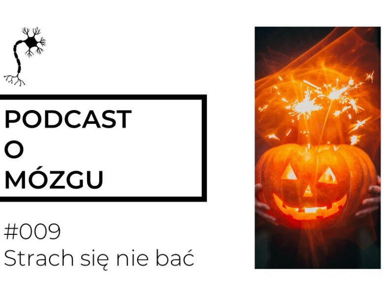 #009 Strach się nie bać