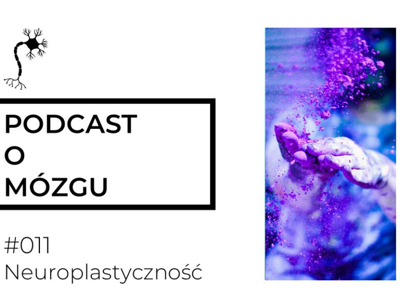 #011 Neuroplastyczność wymiata