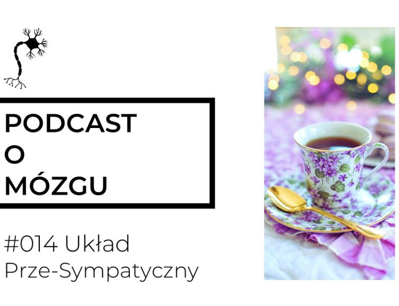 #014 Układ Prze-Sympatyczny. Jak radzić sobie ze stresem?