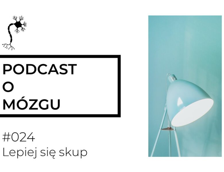 #024 Lepiej się skup. Koncentracja uwagi