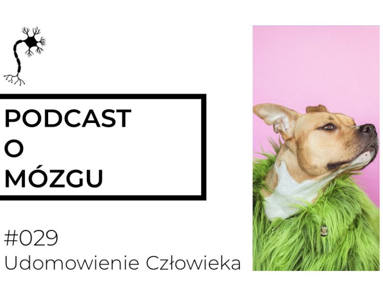 #029 Udomowienie Człowieka