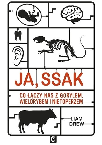 Ja, ssak. Liam Drew