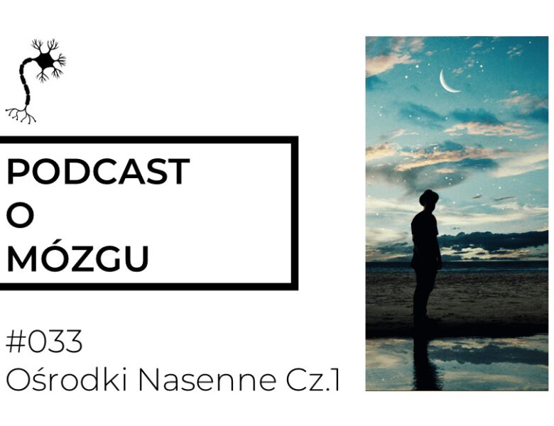 #033 Ośrodki Nasenne. Dlaczego śpimy?
