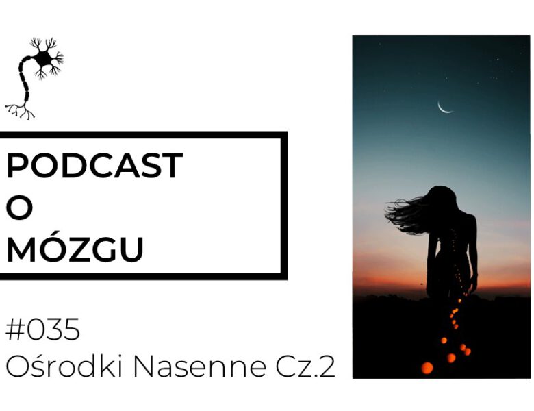 #035 Ośrodki Nasenne. Dlaczego śnimy?
