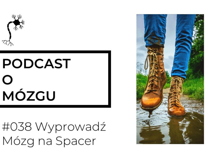 #038 Wyprowadź Mózg na Spacer