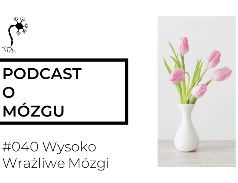 #040 Wysoko Wrażliwe Mózgi