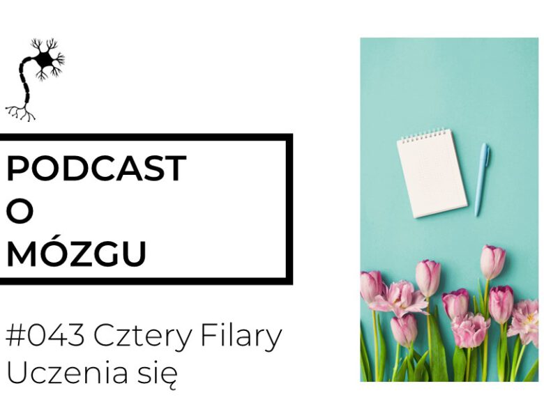 #043 Cztery Filary Uczenia się