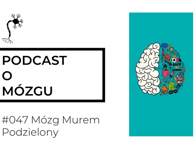 #047 Mózg Murem Podzielony