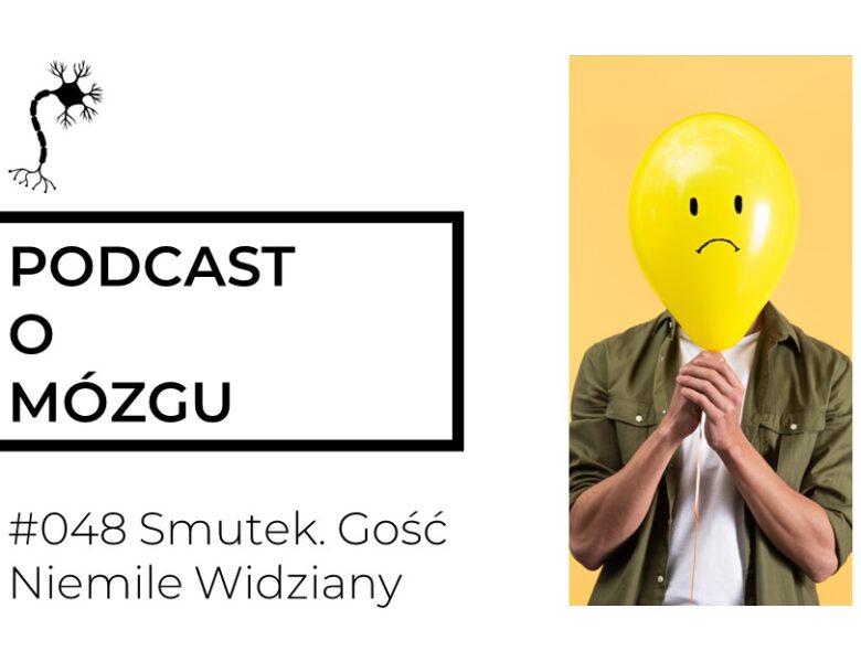 #048 Smutek. Gość Niemile Widziany