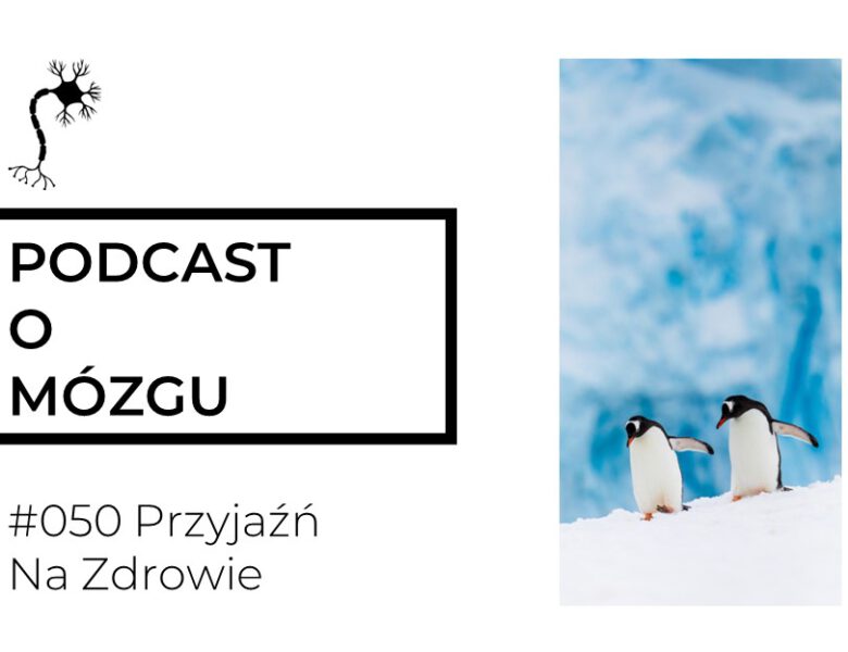 #050 Przyjaźń na Zdrowie
