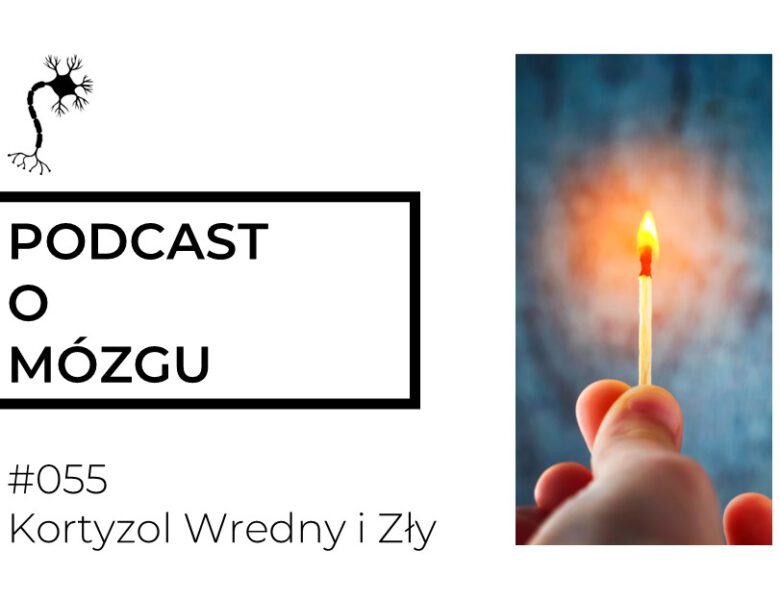 #055 Kortyzol Wredny i Zły