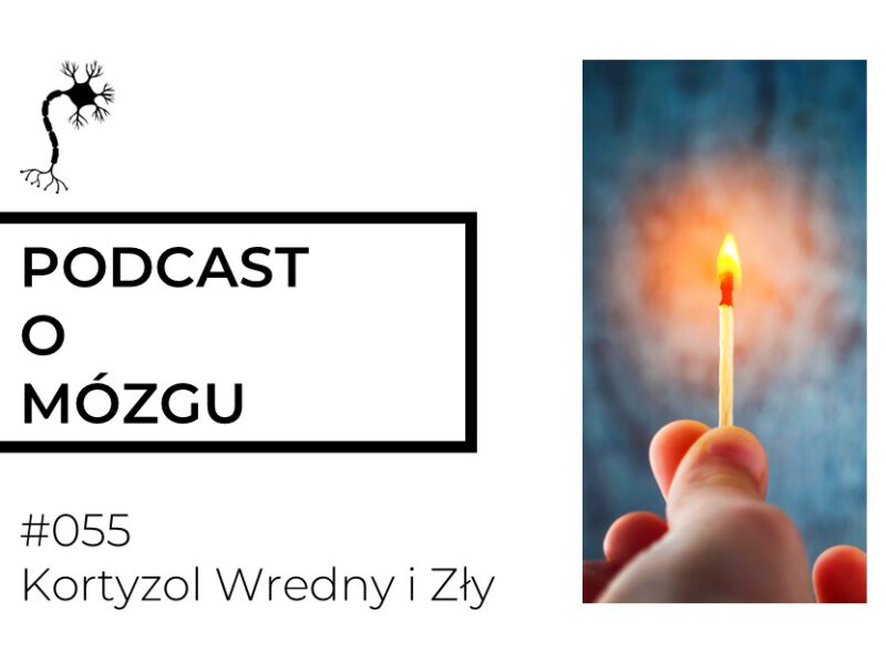 #055 Kortyzol Wredny i Zły